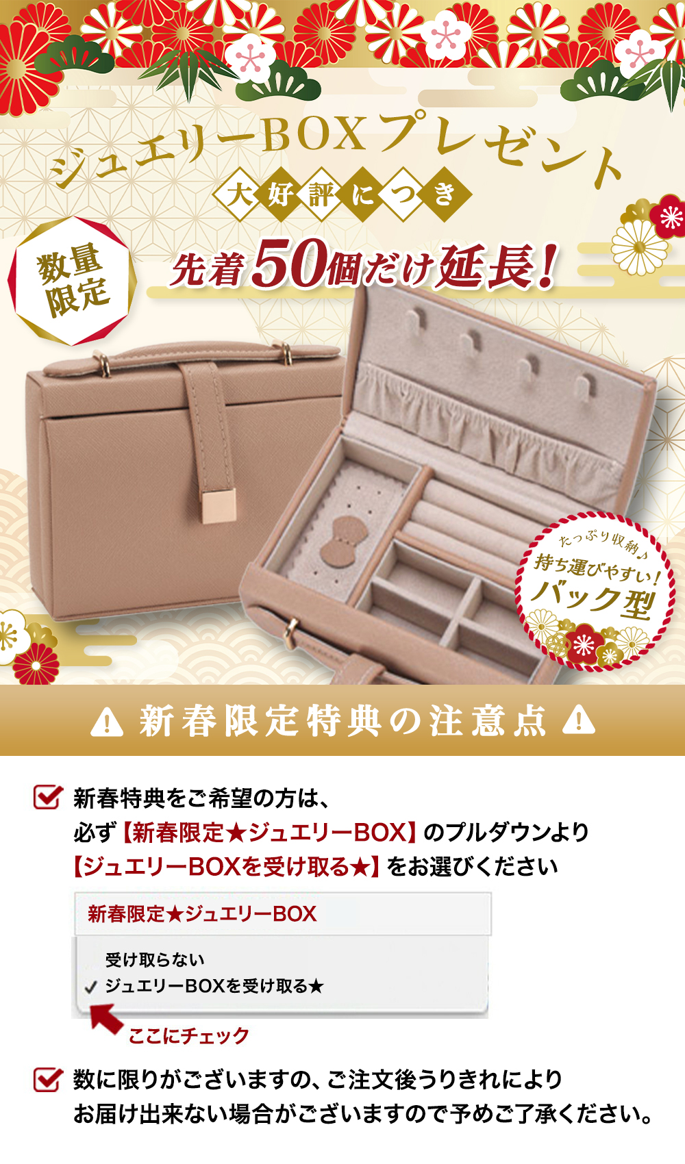 ダイヤモンド ピアス 1.0カラット 一粒 プラチナ キャッチ 落ちない